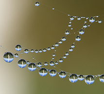 Wassertropfen